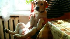 Максим Куварзін фотография #20 (источник - https://vk.com/id6530006)