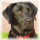 Олександр Олександрів фотография #31 (источник - https://vk.com/id91663194)