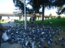 Ozan Yılmaz фотография #31 (источник - https://vk.com/id147239569)