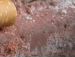 Сєрий Гавловський фотография #12 (источник - https://vk.com/id114053387)