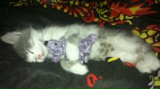 Фотография Маториной Наталии