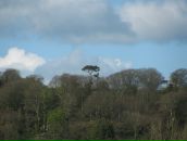 Богдан Тимків фотография #8 (источник - https://vk.com/id5129005)