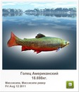 Иван Бабинец фотография #34 (источник - https://vk.com/id120069385)
