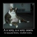 Фотография Мягозёрского Вадима