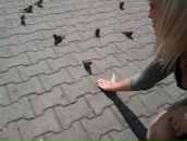 Фотография Падериной Анастасии