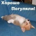 Макс Змієвський фотография #1