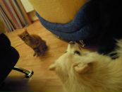 Фотография Бочаровой Лены