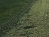 Сергій Білич фотография #29 (источник - https://vk.com/id110718459)