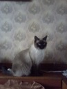 Аленка Павлюк фотография #1