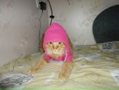 Фотография Пайко Марии