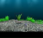 Андрій Ягущин фотография #8 (источник - https://vk.com/id117119139)