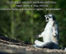 Фотография Т Елены