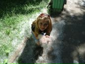 Фотография Ворончихиной Екатерины