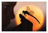 Фотография Григорьев Руслан