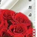 Інна Борець фотография #9 (источник - https://vk.com/id136437324)