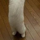 Вітя Бурмей фотография #8 (источник - https://vk.com/id143562390)