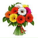 Фотография Демченко Ольги