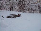 Фотография Скворцова Толяна