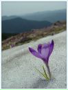 Фотография Казаковой Оксаны