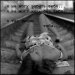  фотография #9