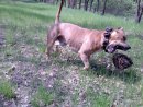 Макс Маліновський фотография #28 (источник - https://vk.com/id204386196)