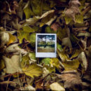 Mustafa Bengi фотография #26 (источник - https://vk.com/id18347388)