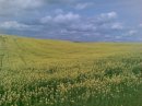 Андрій Покотило фотография #49 (источник - https://vk.com/id12263483)