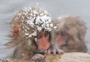 Фотография Дудиной Екатерины