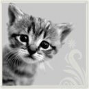 Love Is фотография #22 (источник - https://vk.com/id8283567)