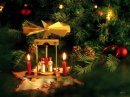 Альона Кобелєва фотография #22 (источник - https://vk.com/id38379066)