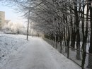 Тарас Тріщ фотография #25 (источник - https://vk.com/id32314785)