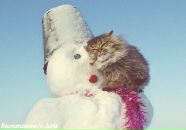 Ірина Пурас фотография #26 (источник - https://vk.com/id138635011)