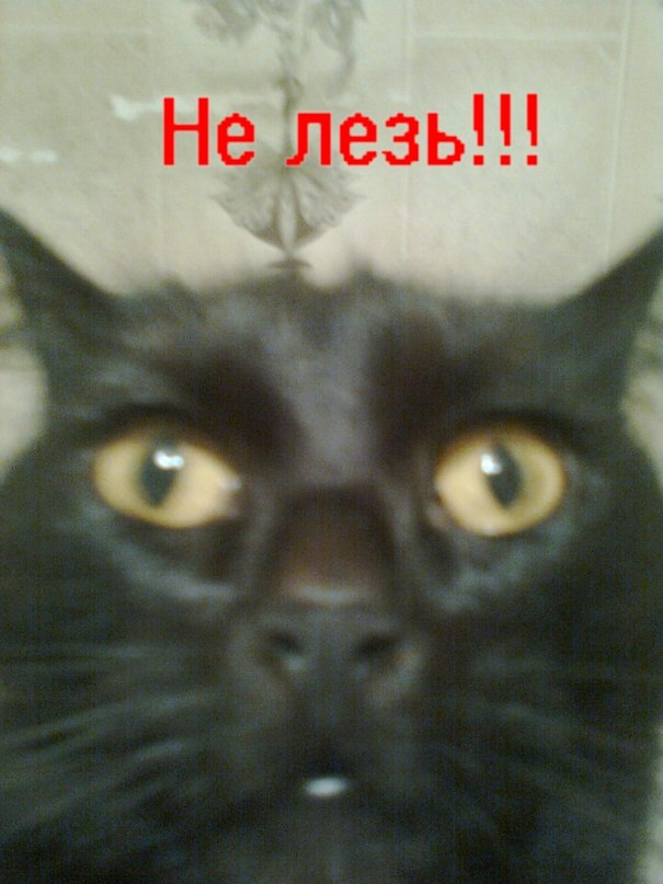 Оля Чугаевская фотография #33