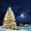 Фотография Тесленко Алексея