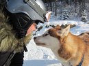 Вікторія Сенишин фотография #26 (источник - https://vk.com/id11939861)