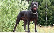 Юра Гарнік фотография #31 (источник - https://vk.com/id61585302)