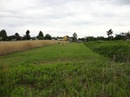 Сірьожа Шевчук фотография #17 (источник - https://vk.com/id155601063)