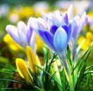 Марічка Дідик фотография #3 (источник - https://vk.com/id10896917)