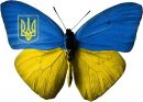 Юліанна Павлова фотография #27 (источник - https://vk.com/id61803331)