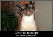 Леонід Грудецький фотография #19 (источник - https://vk.com/id36217552)