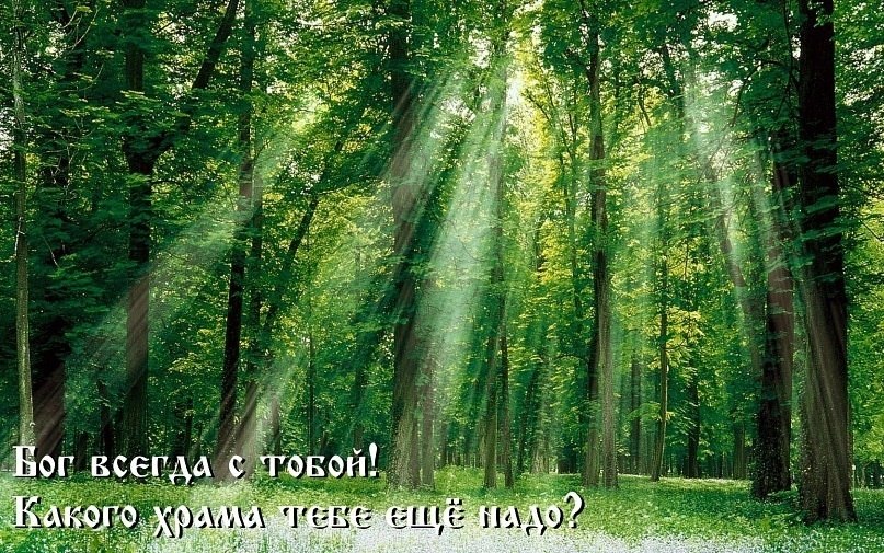 Сергей Кравченко фотография #33