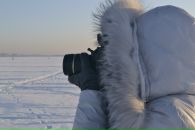 Фотография Семак Полины