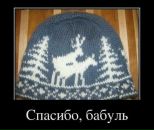 Дима Tryasunoff фотография #11 (источник - https://vk.com/id2384341)