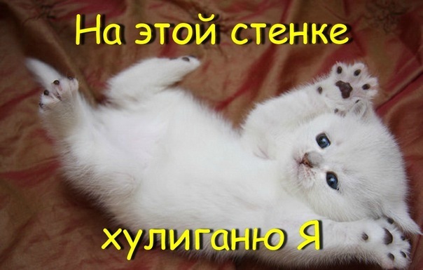 №9, Данил Талышев №9, Данил Талышев