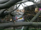 Андрій Дністрян фотография #43 (источник - https://vk.com/id62526895)