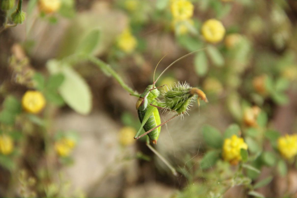 Женя Татировский фотография #29