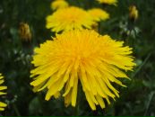 Ігор Костючок фотография #9 (источник - https://vk.com/id158618032)