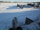 Фотография Олеск Ксении