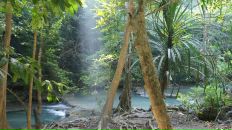 Анна Матвеенко фотография #28 (источник - https://vk.com/id982526)