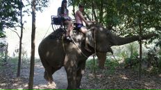 Анна Матвеенко фотография #31 (источник - https://vk.com/id982526)